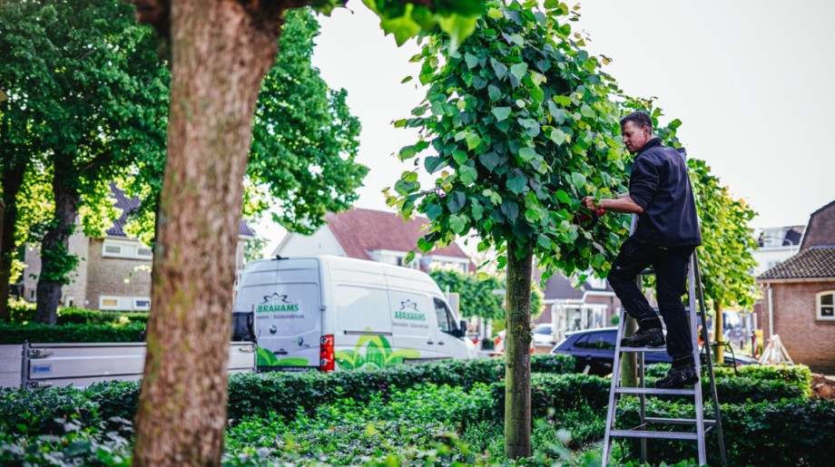 Jan Abrahams Hovenier B.V. BIEST-HOUTAKKER afbeelding 4